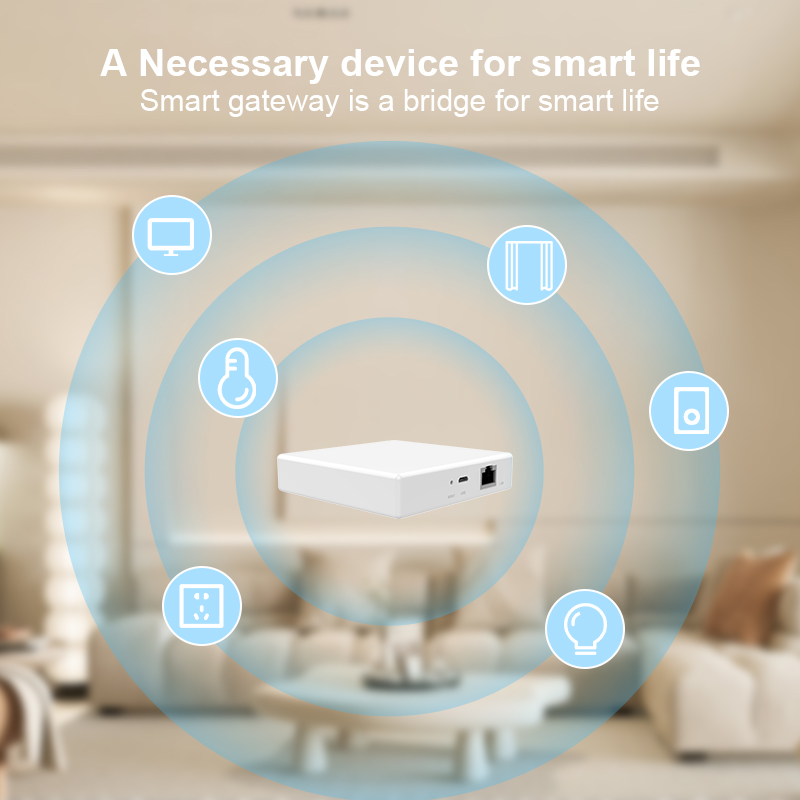 เกตเวย์ Matter Hub Homekit Tuy - Smart Home Group บทวิจารณ์และราคา