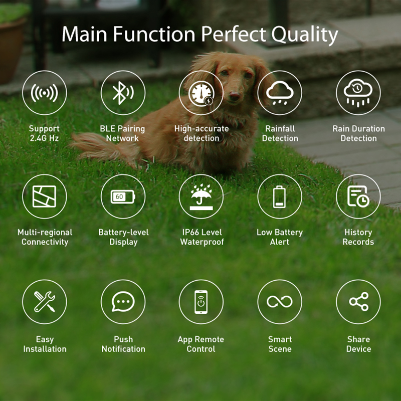 เซ็นเซอร์ตรวจจับฝนแบบ WiFi ตรว - Smart Home Nas บทวิจารณ์และราคา